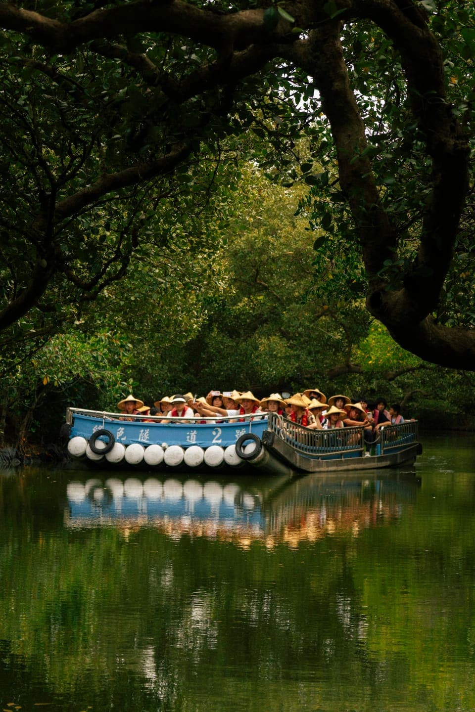 A guided boat trip under a canopy of trees